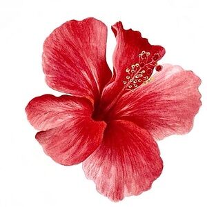 Meet your Posher, Madisyn